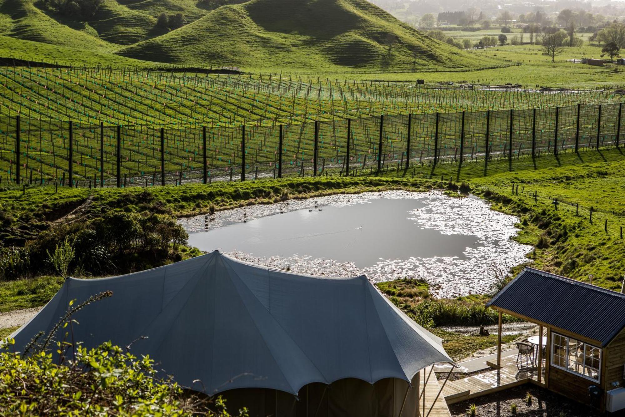 Orchard Valley Glamping Otorohanga Luaran gambar